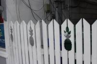 2017 GCO Cruise (60).jpg